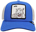 wild stripe kid cap