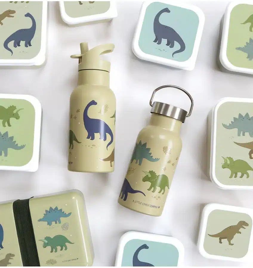 dbssdi40-lr-7-stainless-steel-drink-bottle-dinosaurs