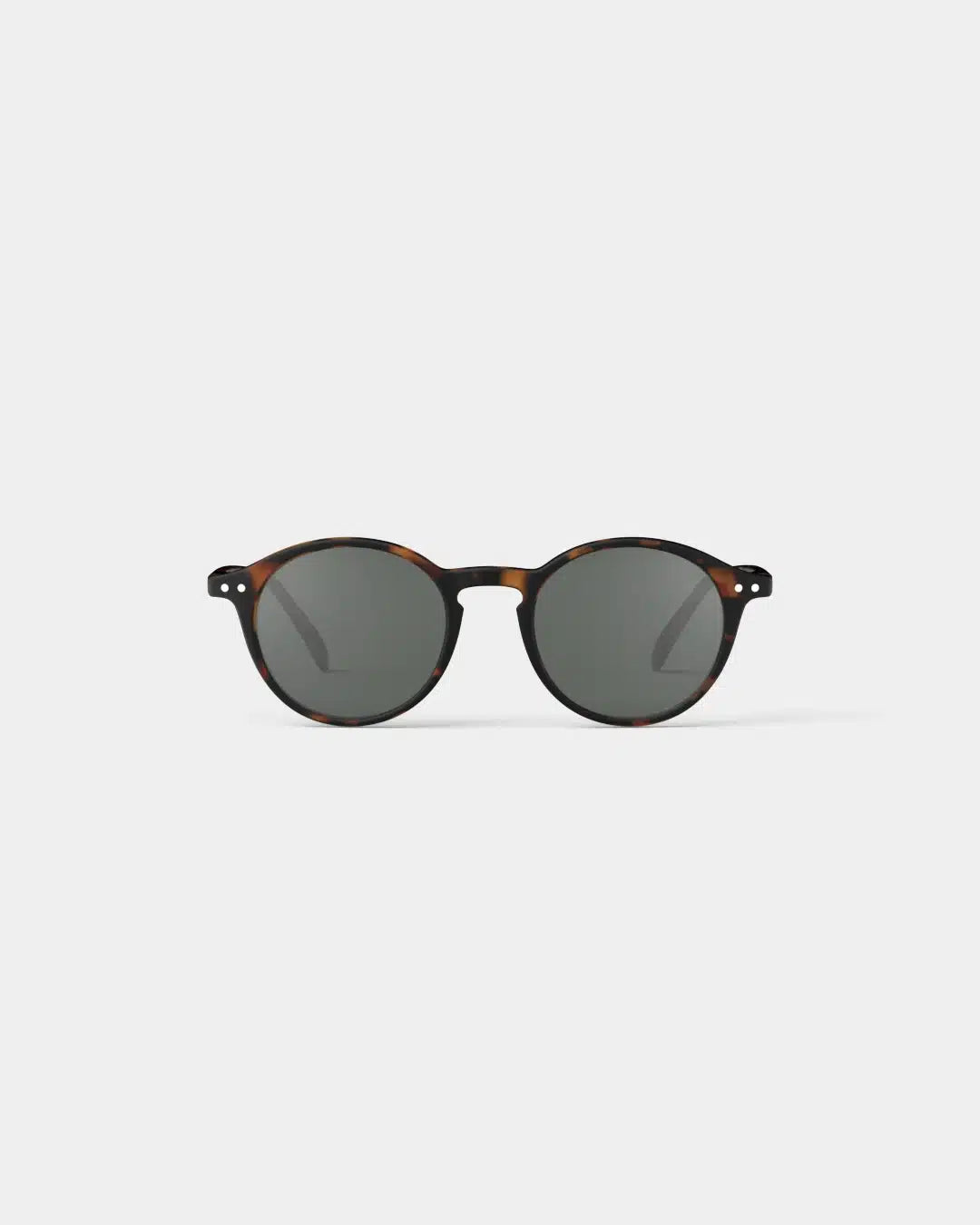 ef_slmsdc02_1-izi_d_sun_tortoise_vue1_2